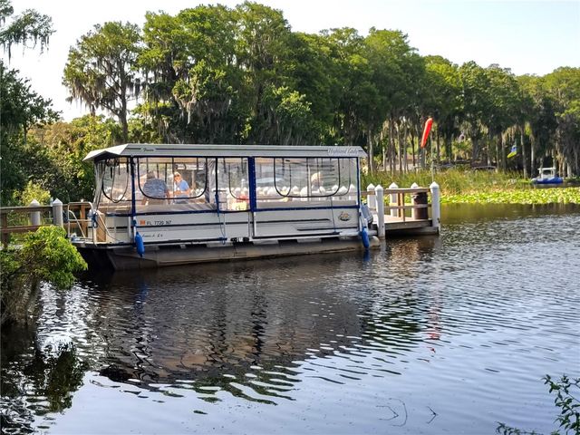 3535 BIRKDALE LANE, Palm Harbor, FL 34684