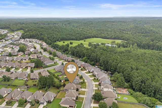 1009 PINE VALLEY DRIVE, Calera, AL 35040