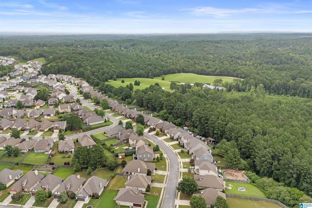 1009 PINE VALLEY DRIVE, Calera, AL 35040