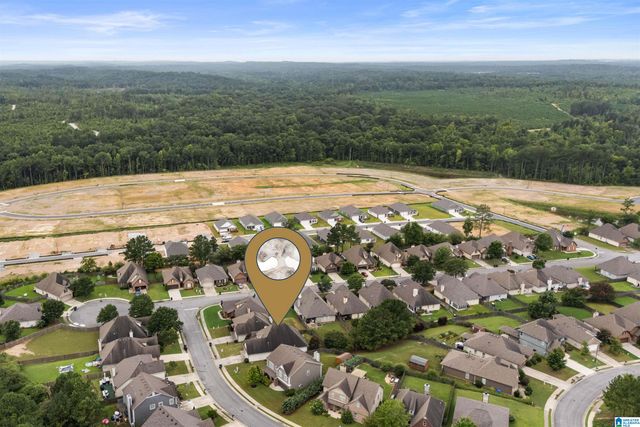1009 PINE VALLEY DRIVE, Calera, AL 35040
