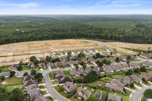 1009 PINE VALLEY DRIVE, Calera, AL 35040