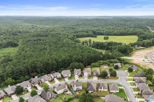 1009 PINE VALLEY DRIVE, Calera, AL 35040