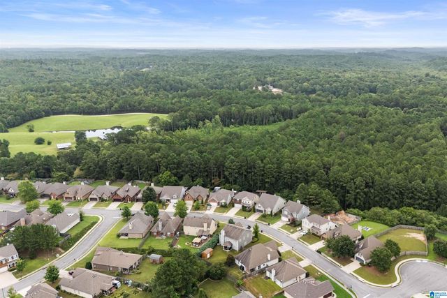 1009 PINE VALLEY DRIVE, Calera, AL 35040