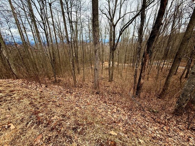 Lot 7 Rocky Knob Drive, Young Harris, GA 30582