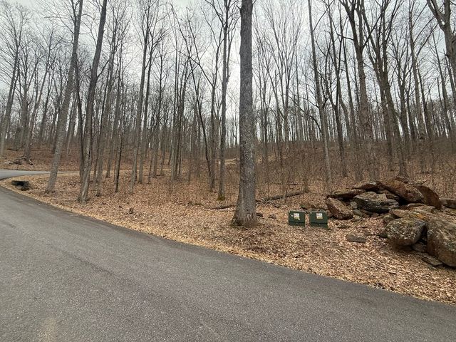 Lot 7 Rocky Knob Drive, Young Harris, GA 30582