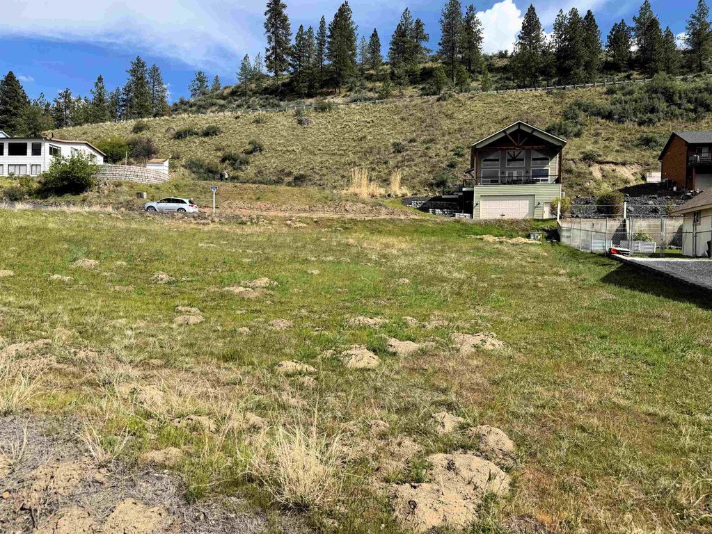 3317 Roosevelt Dr, Seven Bays, WA 99122 photo 3