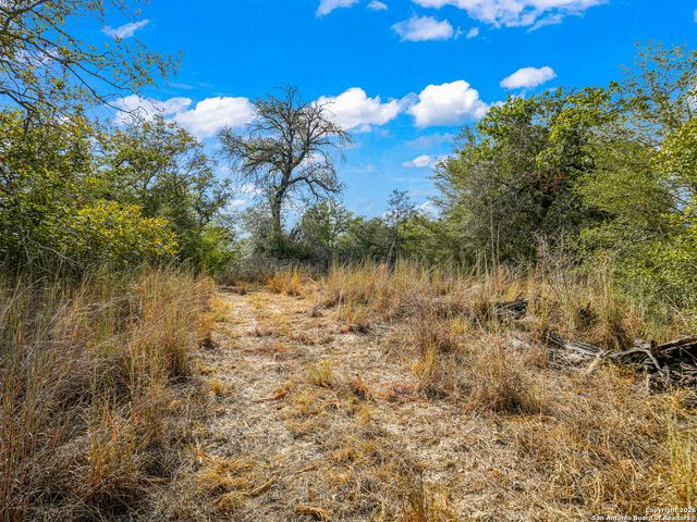 12180 FM 1117, Seguin, TX 78155