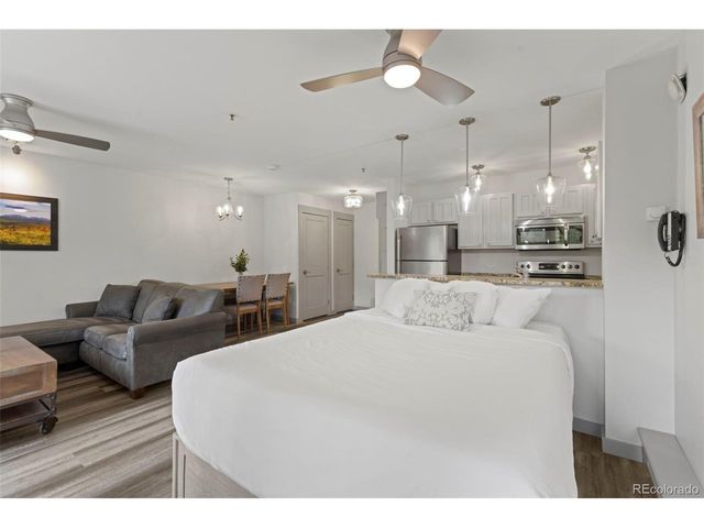 100 S Park Ave W308, Breckenridge, CO 80424