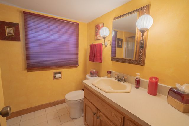 10524 S Michael Drive, Palos Hills, IL 60465