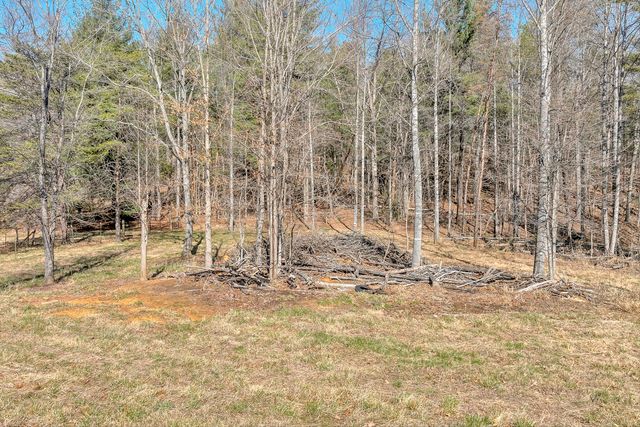 1155 Stonewall RD, Blue Ridge, VA 24064