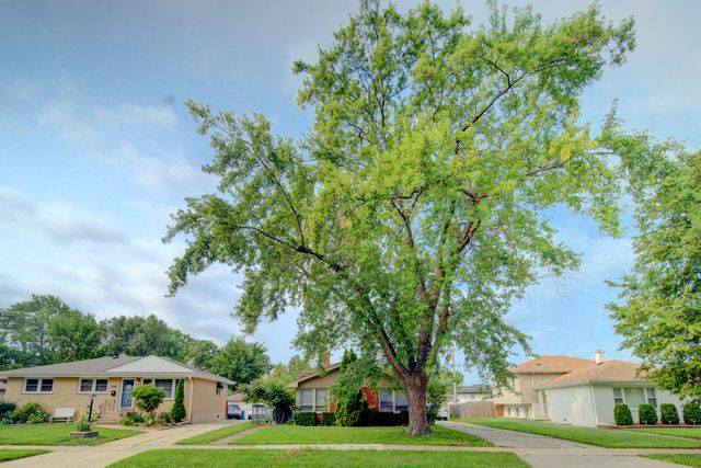 513 W Willow Glen, Addison, IL 60101