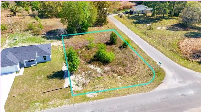 TBD CORNER LOT FISHER ROAD, Ocklawaha, FL 32179