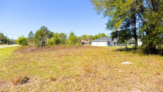 TBD CORNER LOT FISHER ROAD, Ocklawaha, FL 32179