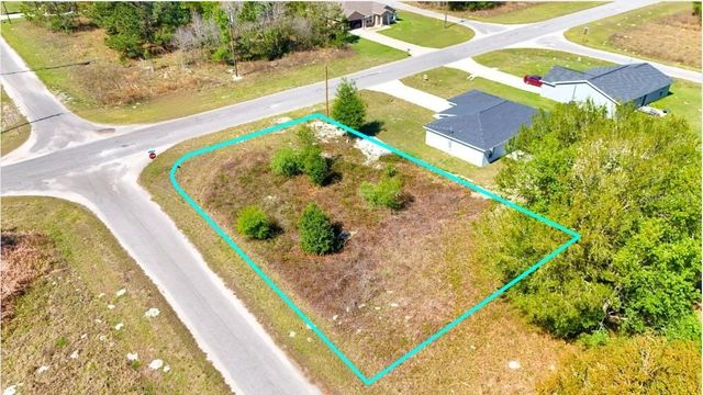 TBD CORNER LOT FISHER ROAD, Ocklawaha, FL 32179