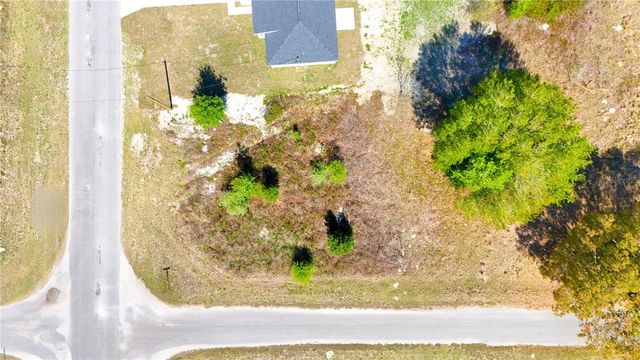 TBD CORNER LOT FISHER ROAD, Ocklawaha, FL 32179