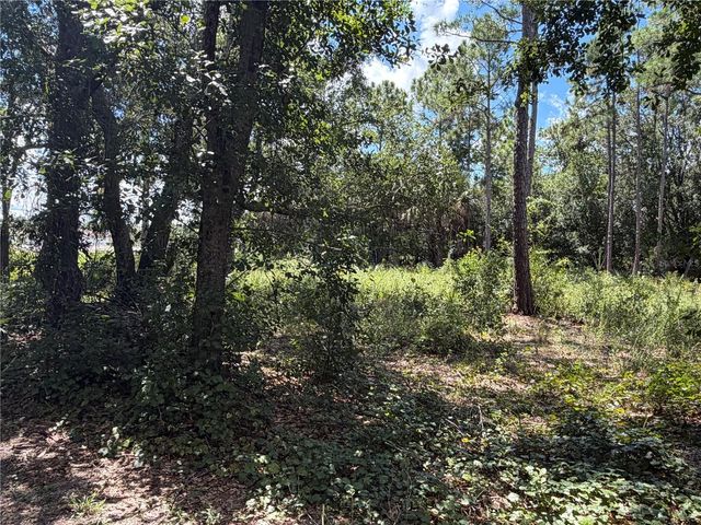 3165 STEWART BOULEVARD, Kissimmee, FL 34746