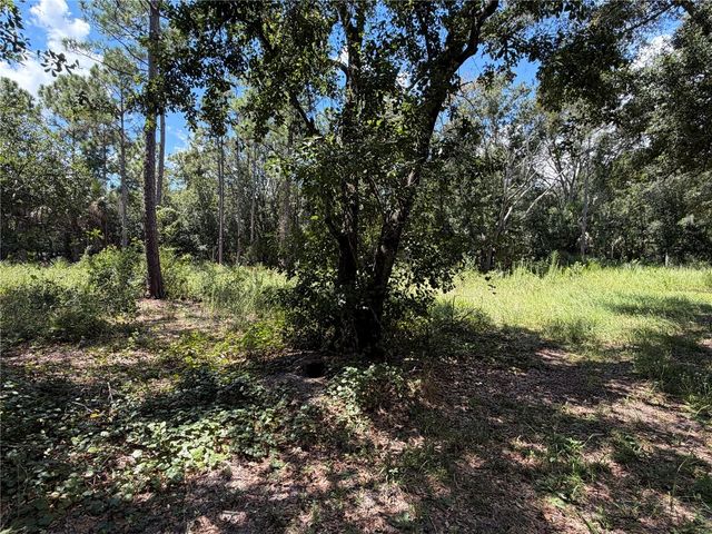 3165 STEWART BOULEVARD, Kissimmee, FL 34746