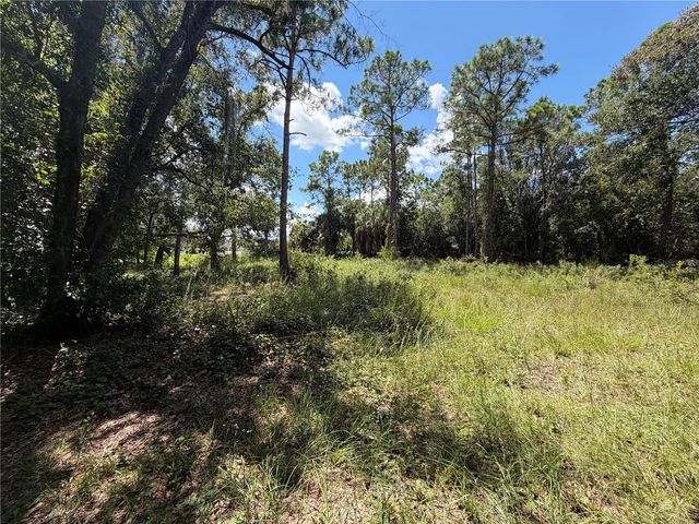 3165 STEWART BOULEVARD, Kissimmee, FL 34746