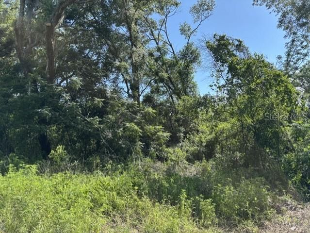 7157 GLORY ROAD, Zephyrhills, FL 33540