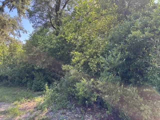 7157 GLORY ROAD, Zephyrhills, FL 33540