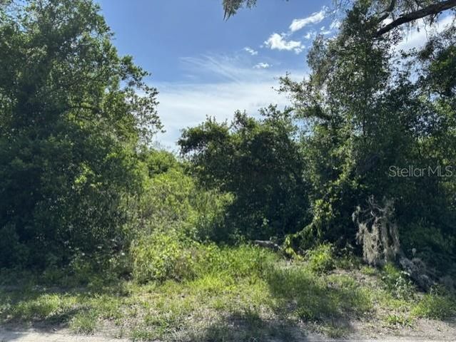 7157 GLORY ROAD, Zephyrhills, FL 33540