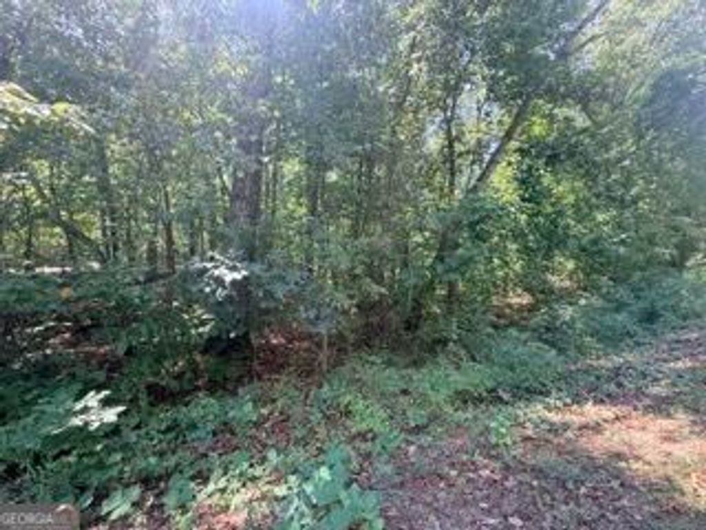 82 Crescent Drive, Toccoa, GA 30577 — photo 3