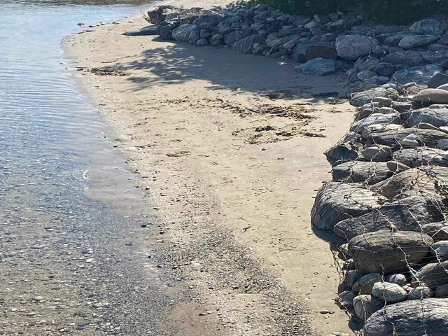 7954 Cedar Street, Beulah, MI 49617