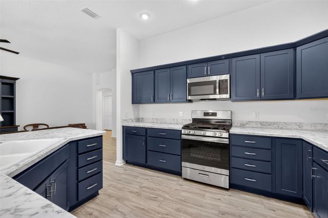 3725 SUGARBERRY LANE, The Villages, FL 32163