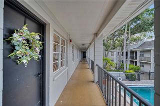 5221 BAYSHORE BOULEVARD 51, Tampa, FL 33611