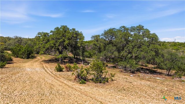 11387 FM 32, Fischer, TX 78623