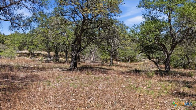 11387 FM 32, Fischer, TX 78623