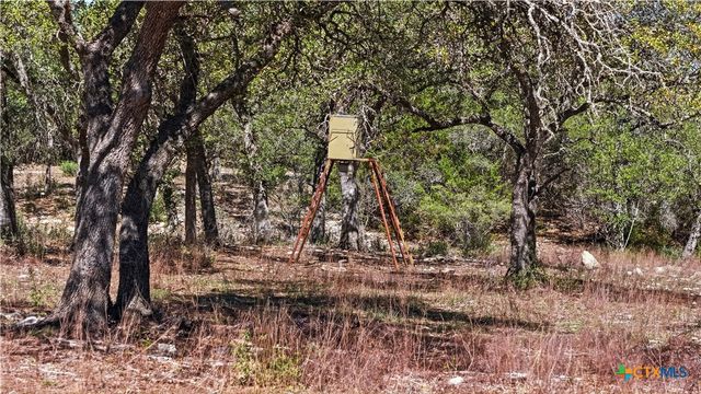 11387 FM 32, Fischer, TX 78623