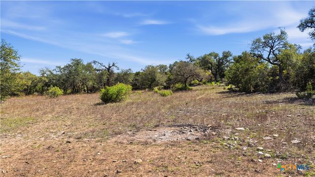 11387 FM 32, Fischer, TX 78623