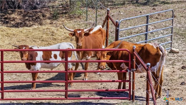 11387 FM 32, Fischer, TX 78623