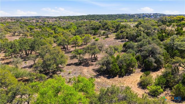 11387 FM 32, Fischer, TX 78623