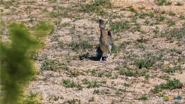 11387 FM 32, Fischer, TX 78623