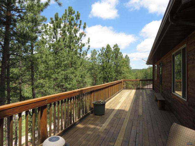 23716 BURNT FORK RD, Hill City, SD 57745