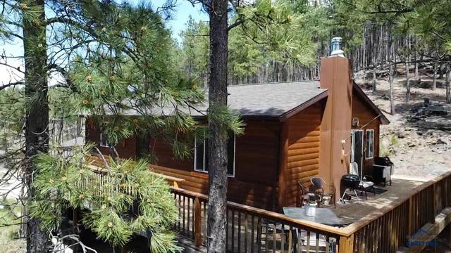 23716 BURNT FORK RD, Hill City, SD 57745
