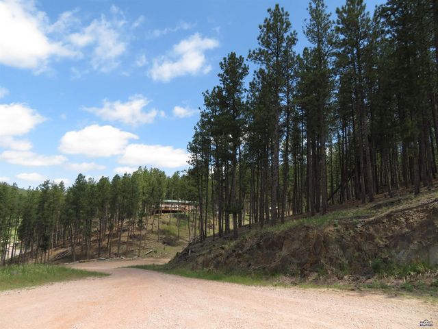 23716 BURNT FORK RD, Hill City, SD 57745