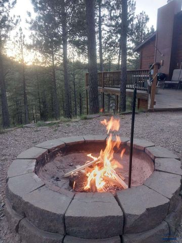 23716 BURNT FORK RD, Hill City, SD 57745