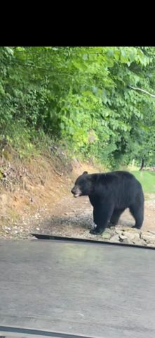 1657 Dry Hollow Road, Monticello, KY 42633