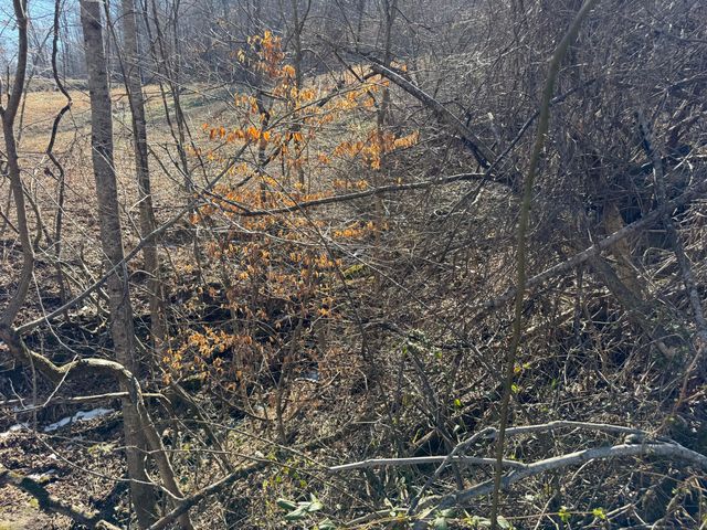 1657 Dry Hollow Road, Monticello, KY 42633