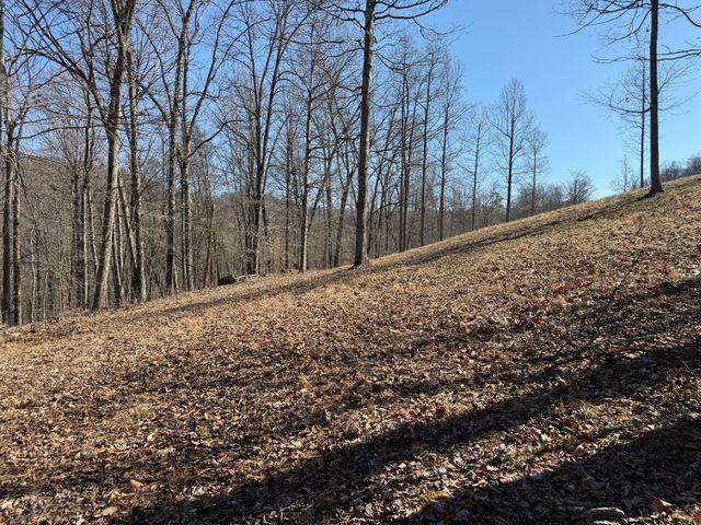 1657 Dry Hollow Road, Monticello, KY 42633
