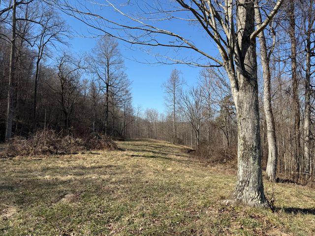 1657 Dry Hollow Road, Monticello, KY 42633