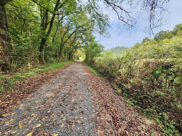 0 Webster Branch Ln, Whitleyville, TN 38588