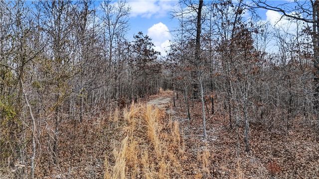 Coose Hollow Drive, Garfield, AR 72732