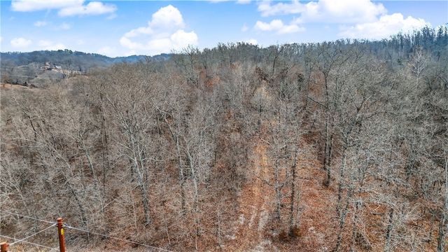 Coose Hollow Drive, Garfield, AR 72732