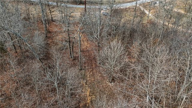 Coose Hollow Drive, Garfield, AR 72732