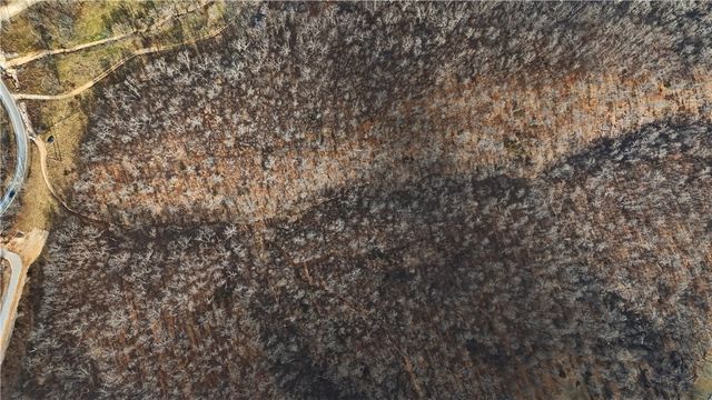 Coose Hollow Drive, Garfield, AR 72732