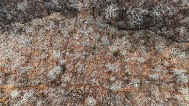 Coose Hollow Drive, Garfield, AR 72732